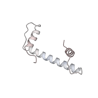33450_7xti_a_v1-0
RNA polymerase II elongation complex transcribing a nucleosome (EC58hex)