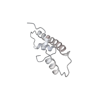 33450_7xti_b_v1-0
RNA polymerase II elongation complex transcribing a nucleosome (EC58hex)