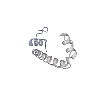 33450_7xti_f_v1-0
RNA polymerase II elongation complex transcribing a nucleosome (EC58hex)