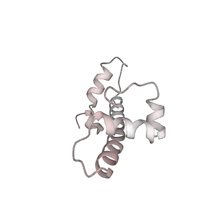 33450_7xti_g_v1-0
RNA polymerase II elongation complex transcribing a nucleosome (EC58hex)