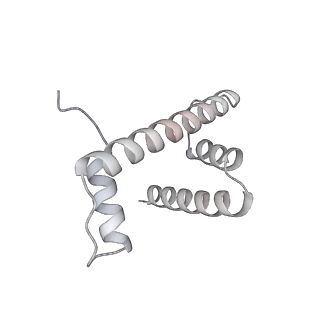 33450_7xti_h_v1-0
RNA polymerase II elongation complex transcribing a nucleosome (EC58hex)