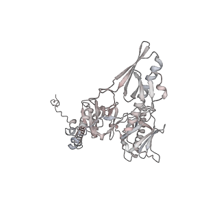 33450_7xti_j_v1-0
RNA polymerase II elongation complex transcribing a nucleosome (EC58hex)