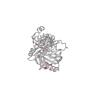 33450_7xti_k_v1-0
RNA polymerase II elongation complex transcribing a nucleosome (EC58hex)