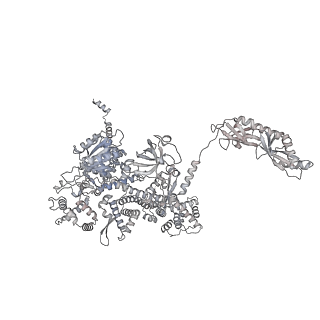 33450_7xti_m_v1-0
RNA polymerase II elongation complex transcribing a nucleosome (EC58hex)