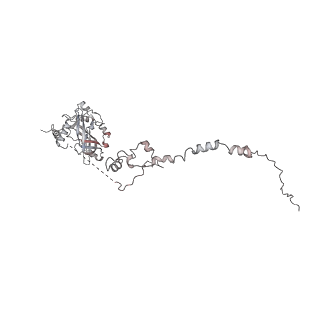 33450_7xti_v_v1-0
RNA polymerase II elongation complex transcribing a nucleosome (EC58hex)