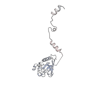 33450_7xti_x_v1-0
RNA polymerase II elongation complex transcribing a nucleosome (EC58hex)