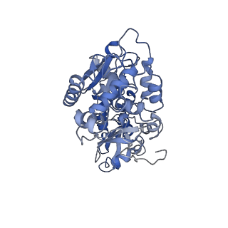 6771_5xtb_A_v1-4
Cryo-EM structure of human respiratory complex I matrix arm