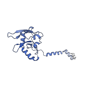 6771_5xtb_B_v1-4
Cryo-EM structure of human respiratory complex I matrix arm