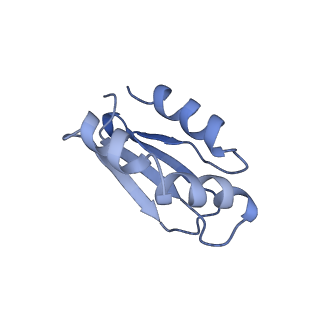 6771_5xtb_F_v1-4
Cryo-EM structure of human respiratory complex I matrix arm