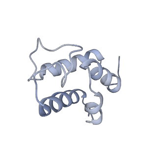 6771_5xtb_G_v1-4
Cryo-EM structure of human respiratory complex I matrix arm