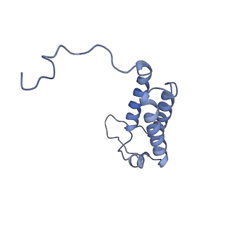 6771_5xtb_H_v1-4
Cryo-EM structure of human respiratory complex I matrix arm