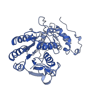 6771_5xtb_J_v1-4
Cryo-EM structure of human respiratory complex I matrix arm