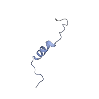 6771_5xtb_K_v1-4
Cryo-EM structure of human respiratory complex I matrix arm