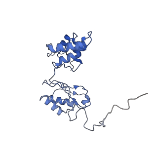 6771_5xtb_O_v1-4
Cryo-EM structure of human respiratory complex I matrix arm
