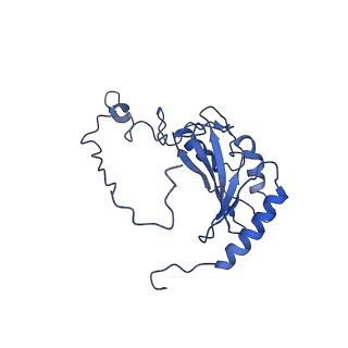 6771_5xtb_P_v1-4
Cryo-EM structure of human respiratory complex I matrix arm