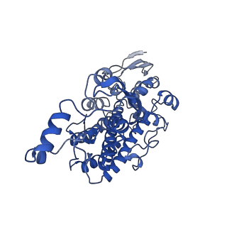 6771_5xtb_Q_v1-4
Cryo-EM structure of human respiratory complex I matrix arm