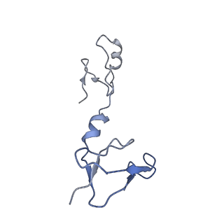 6771_5xtb_T_v1-4
Cryo-EM structure of human respiratory complex I matrix arm