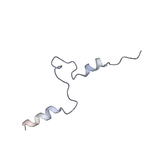 6772_5xtc_Q_v1-3
Cryo-EM structure of human respiratory complex I transmembrane arm