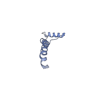 6772_5xtc_S_v1-3
Cryo-EM structure of human respiratory complex I transmembrane arm