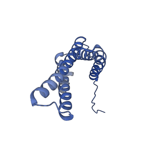 6772_5xtc_V_v1-3
Cryo-EM structure of human respiratory complex I transmembrane arm