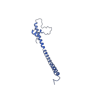 6772_5xtc_W_v1-3
Cryo-EM structure of human respiratory complex I transmembrane arm