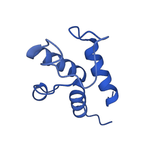6772_5xtc_X_v1-3
Cryo-EM structure of human respiratory complex I transmembrane arm