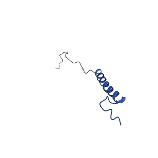 6772_5xtc_Y_v1-3
Cryo-EM structure of human respiratory complex I transmembrane arm