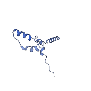 6772_5xtc_Z_v1-3
Cryo-EM structure of human respiratory complex I transmembrane arm