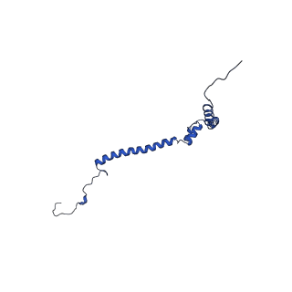 6772_5xtc_a_v1-3
Cryo-EM structure of human respiratory complex I transmembrane arm