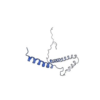 6772_5xtc_b_v1-3
Cryo-EM structure of human respiratory complex I transmembrane arm