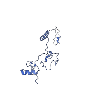 6772_5xtc_c_v1-3
Cryo-EM structure of human respiratory complex I transmembrane arm
