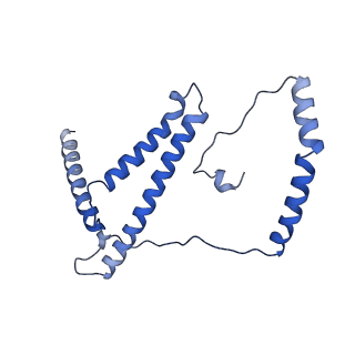 6772_5xtc_d_v1-3
Cryo-EM structure of human respiratory complex I transmembrane arm