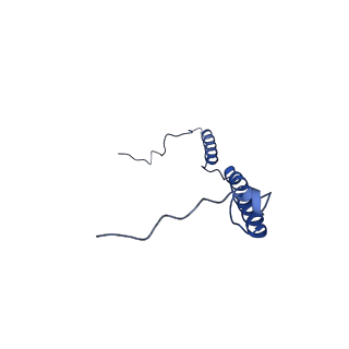 6772_5xtc_e_v1-3
Cryo-EM structure of human respiratory complex I transmembrane arm