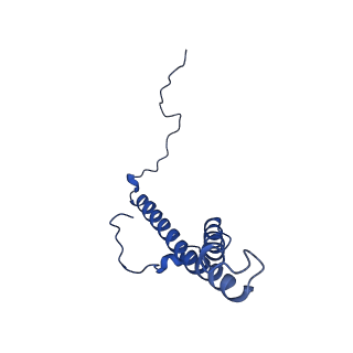 6772_5xtc_g_v1-3
Cryo-EM structure of human respiratory complex I transmembrane arm
