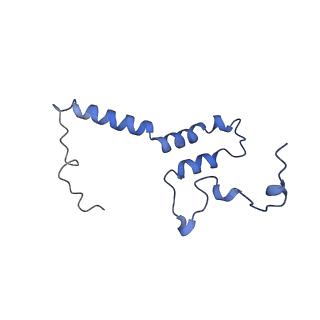 6772_5xtc_h_v1-3
Cryo-EM structure of human respiratory complex I transmembrane arm