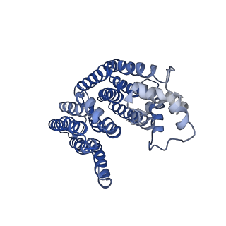 6772_5xtc_i_v1-3
Cryo-EM structure of human respiratory complex I transmembrane arm
