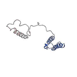 6772_5xtc_j_v1-3
Cryo-EM structure of human respiratory complex I transmembrane arm