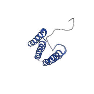 6772_5xtc_k_v1-3
Cryo-EM structure of human respiratory complex I transmembrane arm