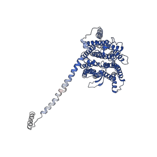 6772_5xtc_l_v1-3
Cryo-EM structure of human respiratory complex I transmembrane arm