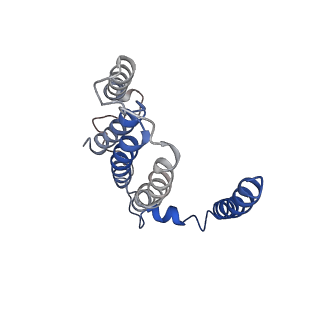 6772_5xtc_m_v1-3
Cryo-EM structure of human respiratory complex I transmembrane arm