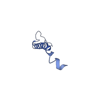 6772_5xtc_n_v1-3
Cryo-EM structure of human respiratory complex I transmembrane arm