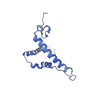 6772_5xtc_o_v1-3
Cryo-EM structure of human respiratory complex I transmembrane arm