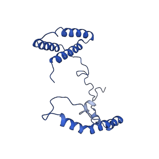6772_5xtc_p_v1-3
Cryo-EM structure of human respiratory complex I transmembrane arm
