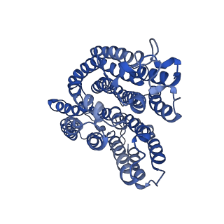 6772_5xtc_r_v1-3
Cryo-EM structure of human respiratory complex I transmembrane arm
