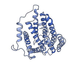 6772_5xtc_s_v1-3
Cryo-EM structure of human respiratory complex I transmembrane arm