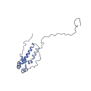 6772_5xtc_u_v1-3
Cryo-EM structure of human respiratory complex I transmembrane arm