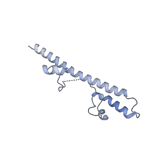 6772_5xtc_v_v1-3
Cryo-EM structure of human respiratory complex I transmembrane arm