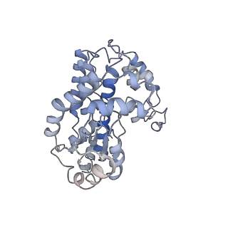 6772_5xtc_w_v1-3
Cryo-EM structure of human respiratory complex I transmembrane arm