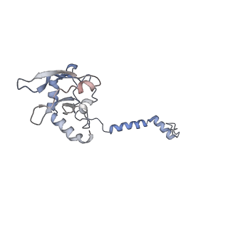 6773_5xtd_B_v1-4
Cryo-EM structure of human respiratory complex I