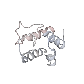 6773_5xtd_G_v1-4
Cryo-EM structure of human respiratory complex I